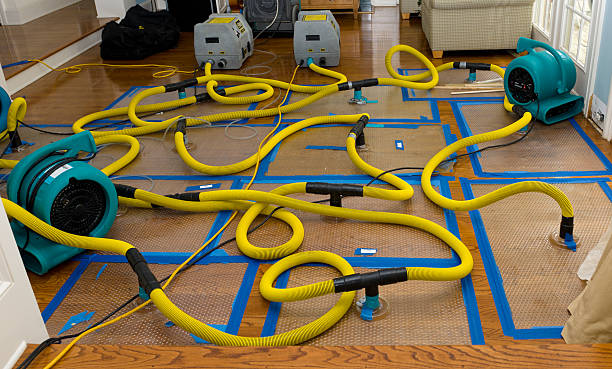 Professional Water Extraction technician working in Laurel, NY